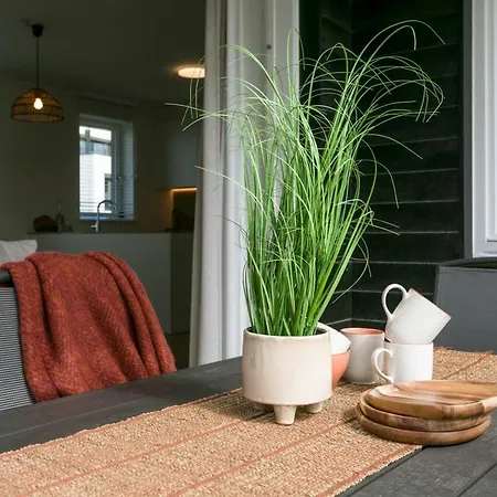 Modern New Appartement With Sunny Terrace And Parking شقة *